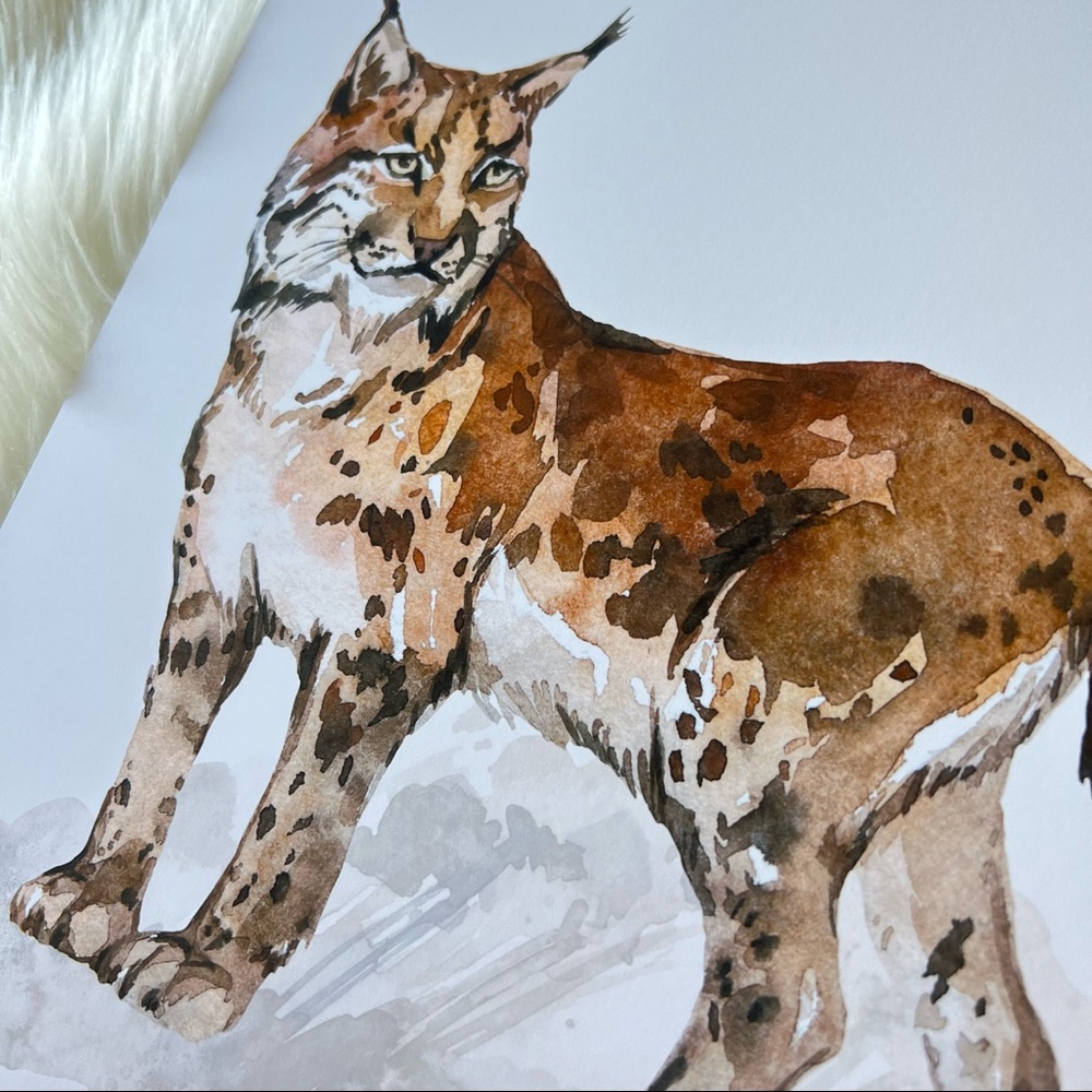 Wall Art Watercolor Lynx Bobcat Illustration Print Poster Unframed - Picture 13 of 17